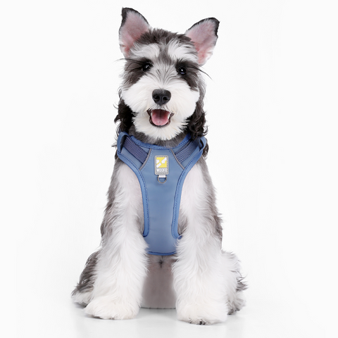 WOOFO Dog Harness