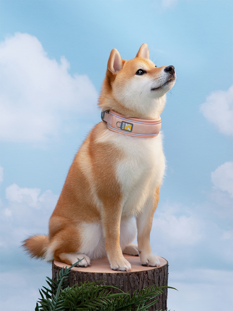WOOFO Comfort Collar