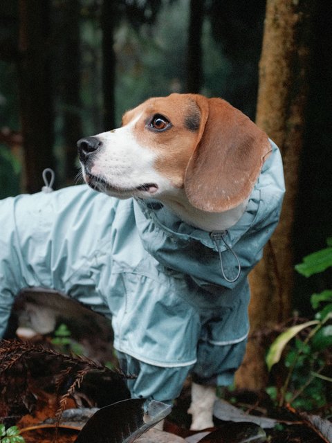 WOOFO Raincoat