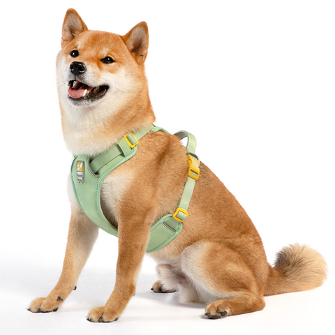 WOOFO Harness | Dog's Walking Essential