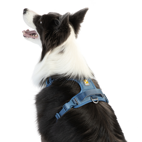 WOOFO Harness