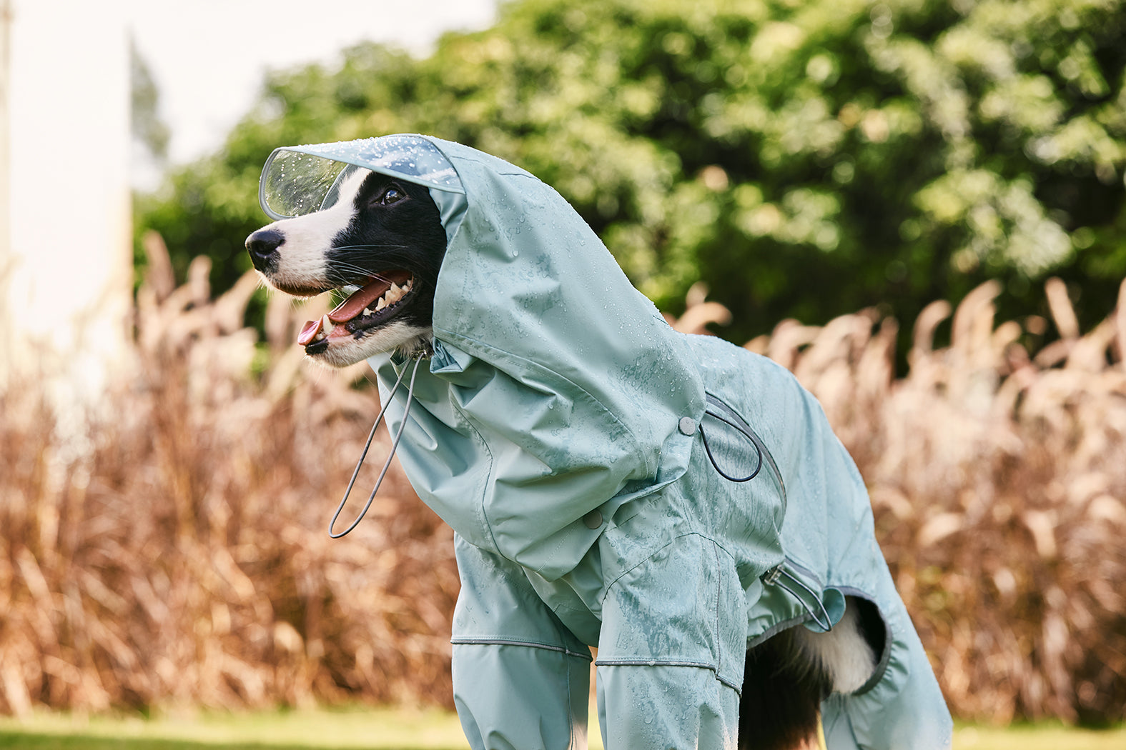 WOOFO Dog Rain Coat Waterproof Full Coverage Dog Rain Jacket